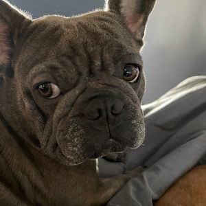 Meet your Posher, Micki